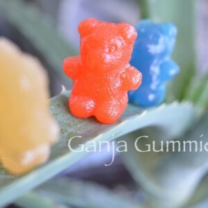 Ganja gummies