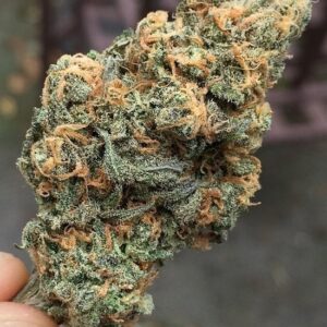 Blue Dream Strain