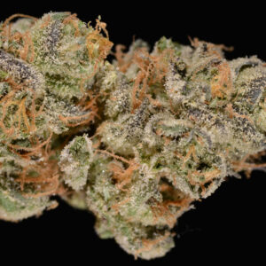 Girl Scout Cookies Strain