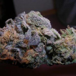God's Gift Strain