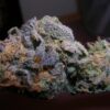 Purple Urkle Strain