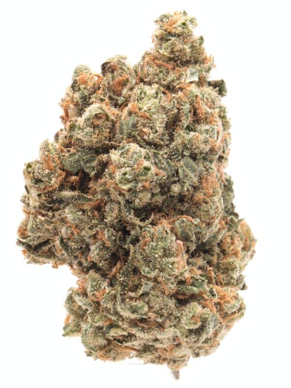 Casey Jones Strain