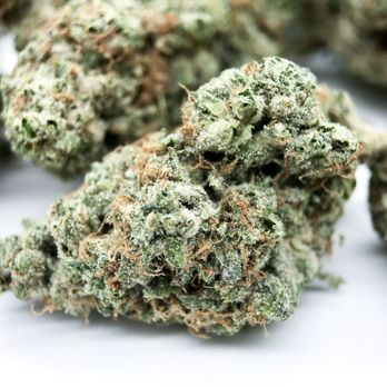 buy cannabis brisbane buy cannabis brisbane