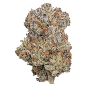 permanent marker strain